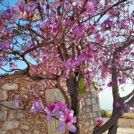 Refugio Del Silencio, Adeje, Wi-fi 샬레