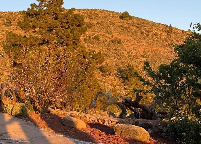 木屋 Refugio Del Silencio, Adeje, Wi-fi *