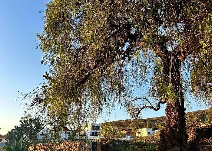 Refugio Del Silencio, Adeje, Wi-fi Vera de Erque