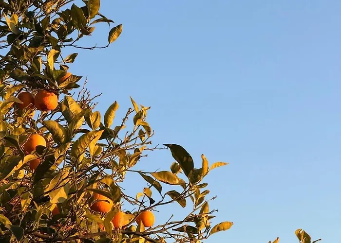 Refugio Del Silencio, Adeje, Wi-fi * Vera de Erque