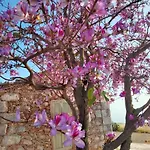 Refugio Del Silencio, Adeje, Wi-fi Шале