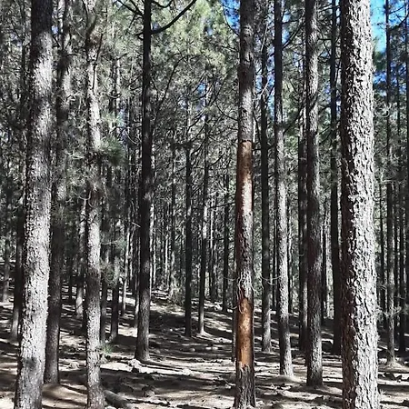 Refugio Del Silencio, Adeje, Wi-fi Vera de Erque