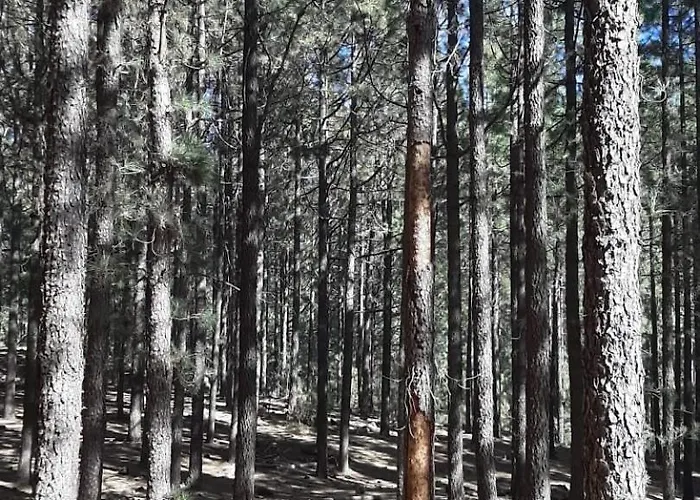 Refugio Del Silencio, Adeje, Wi-fi Vera de Erque