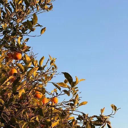 Refugio Del Silencio, Adeje, Wi-fi * Vera de Erque