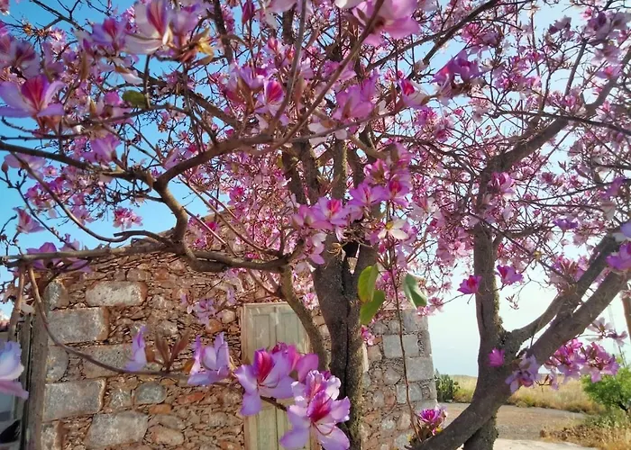 Refugio Del Silencio, Adeje, Wi-fi Σαλέ